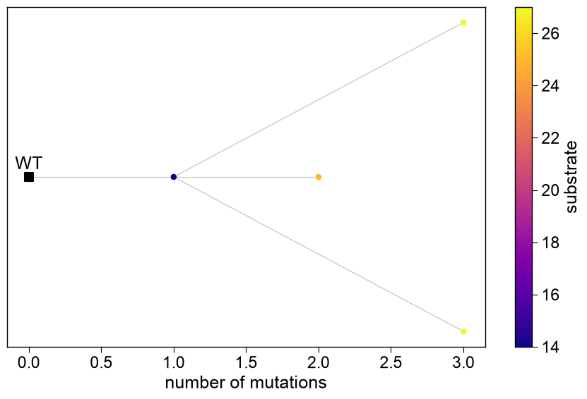../_images/seqopt_genealogy_2_output_3_0.png