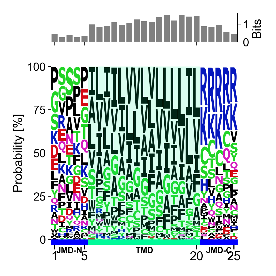 P2: Exploratory sequence analysis