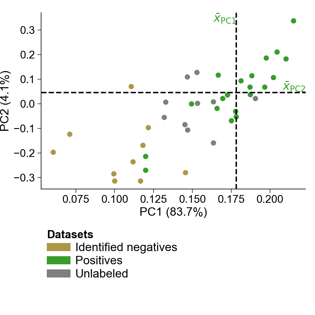 P8: Classifier