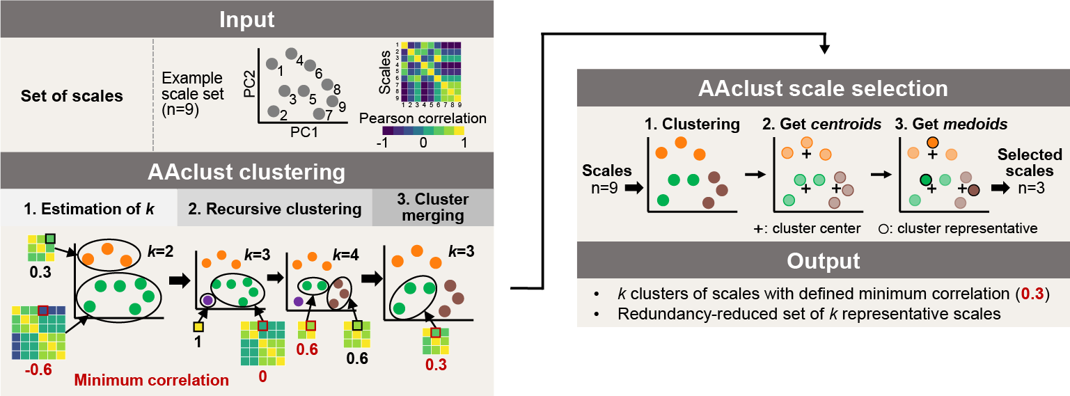 AAclust algorithm for clustering amino acid scales.