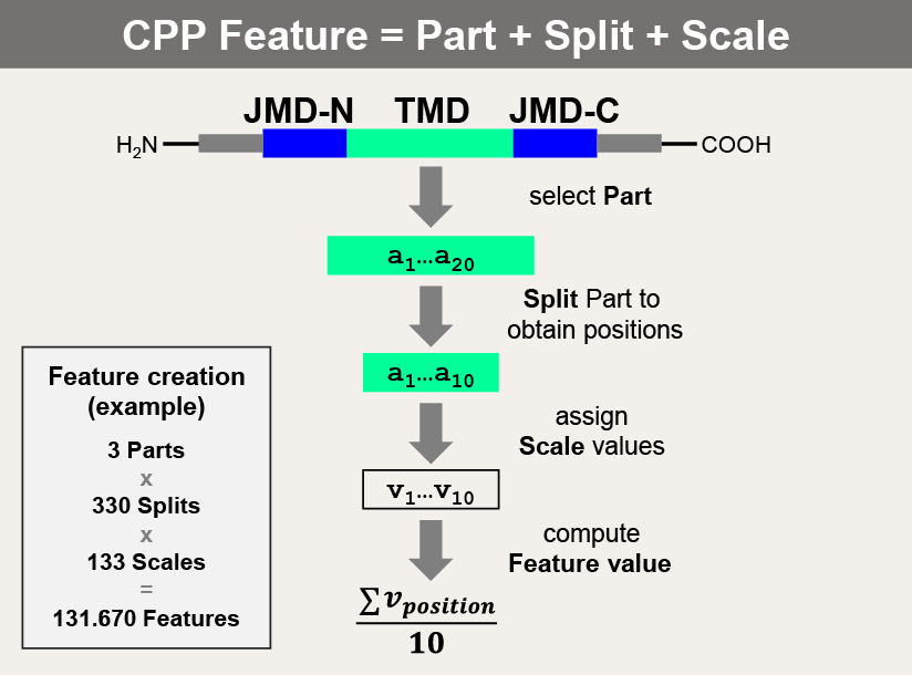 ../../_images/scheme_CPP1.png