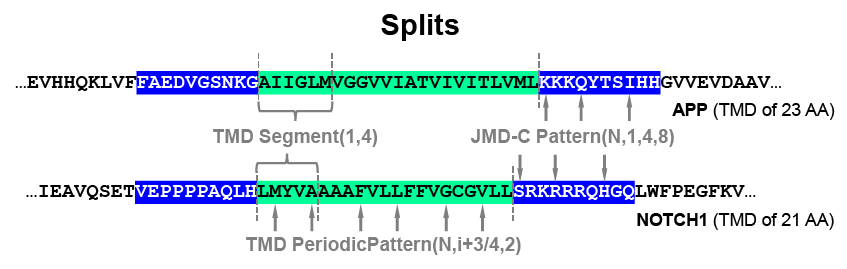 ../../_images/scheme_CPP3.png