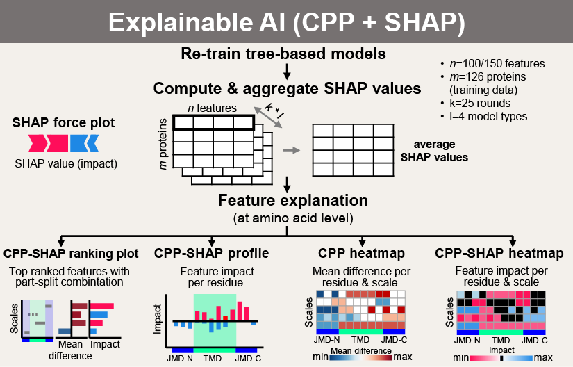 ../../_images/scheme_CPP_eAI.png